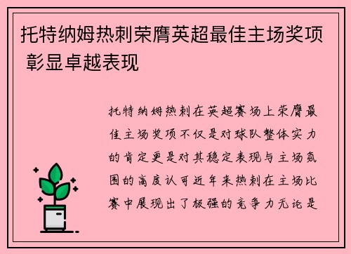 托特纳姆热刺荣膺英超最佳主场奖项 彰显卓越表现